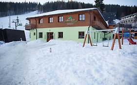 Wellness Hotel Sauna